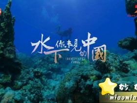 水下生态系列纪录片 水下中国，水下世界的美丽