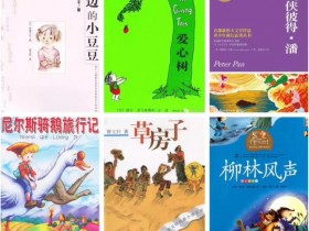 凯迪克大奖，纽伯瑞大奖 儿童文学巨著中文有声书（50部）