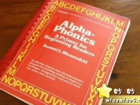 自然拼读ALPHAPHONICS: A PRIMER FOR BEGINNING READERS，可直接打印