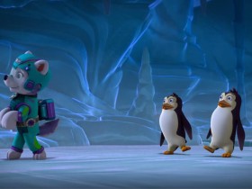 优秀益智儿童动画《汪汪队立大功》 狗狗巡逻队 (1-7季)大合集下载 超清1080P