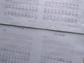 《田字格儿童硬笔书法大通关》123课视频教程+字帖