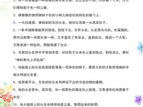 小学作文素材:人物外貌描写的100个优秀句子,好句好段,值得收藏!