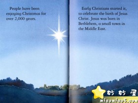 Usborne 圣诞节故事绘本（3本）