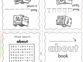 高频词迷你书-100 sight words mini books PDF文档