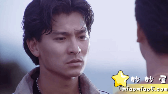 经典作品：[刘德华电影蓝光48部][粤国双语/内封简繁中字/165G][图片 No.1