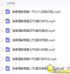 少儿跆拳道课视频教程，在家可自学跆拳道图片 No.3